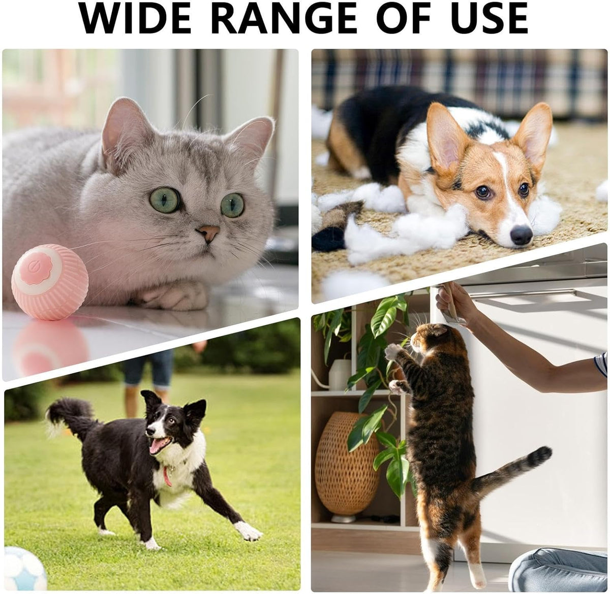 Smart Interactive Cat Ball - Touch-Activated Rolling Toy